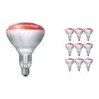 Lot 10x Philips BR125 E27 Réflecteur 250W | Infrared